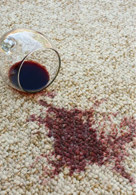 Carpet care | Myers Carpet of Atlanta