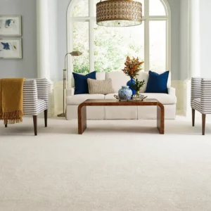 carpet-gallery Carpet flooring | Myers Carpet of Atlanta