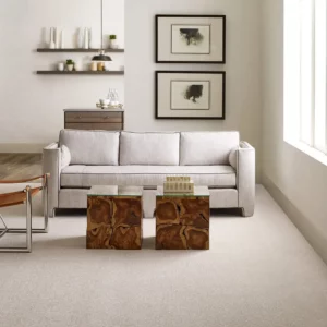 carpet-gallery Carpet flooring | Myers Carpet of Atlanta